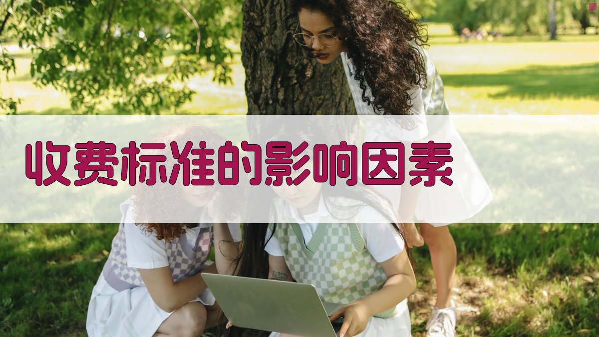 收费标准的影响因素 图1