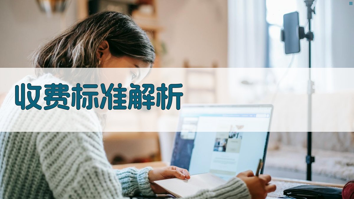 收费标准解析 图2