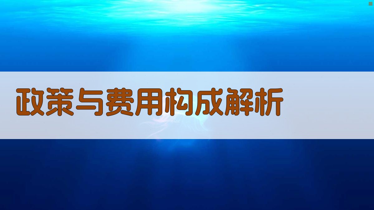 政策与费用构成解析 图1