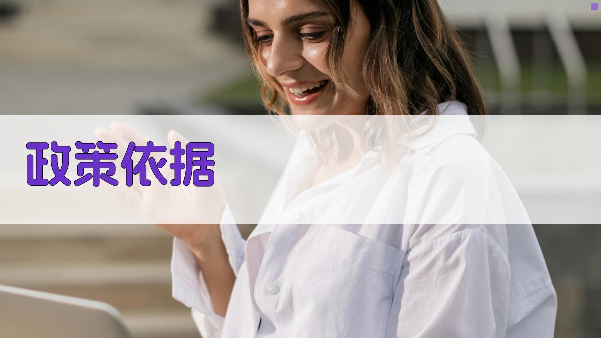 政策依据 图1