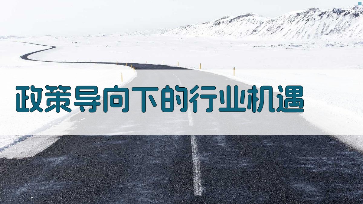 政策导向下的行业机遇 图1