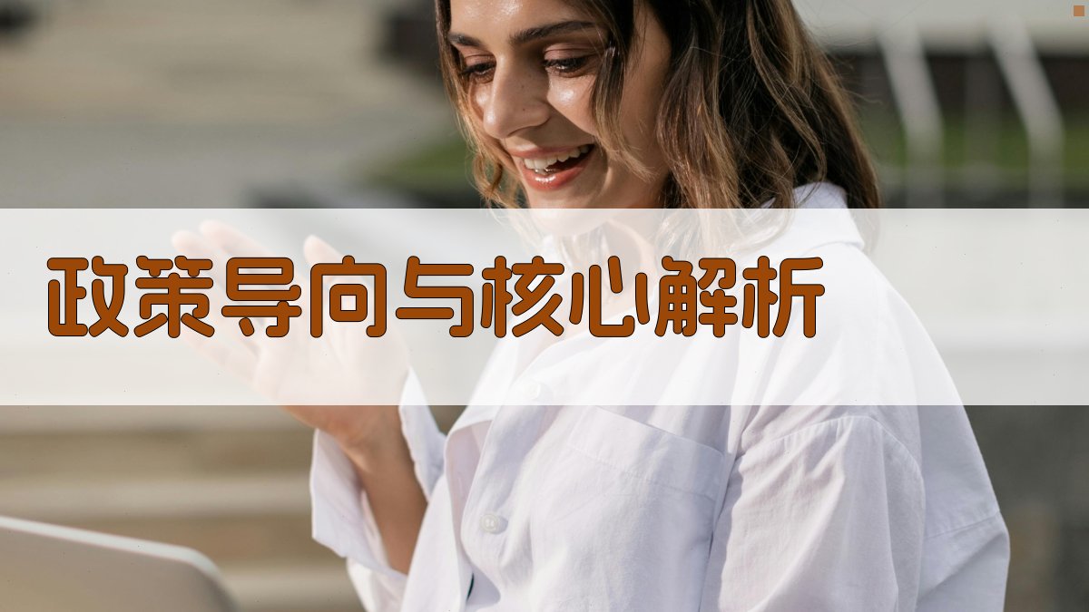 政策导向与核心解析 图2