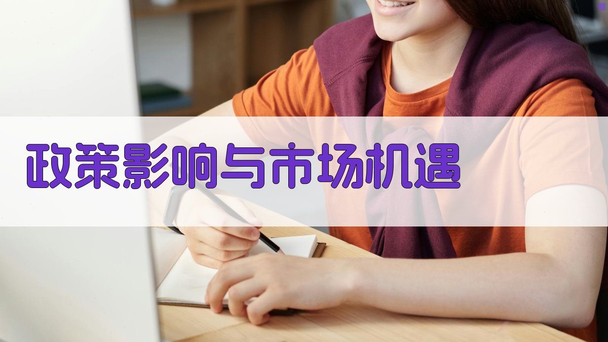 政策影响与市场机遇 图1