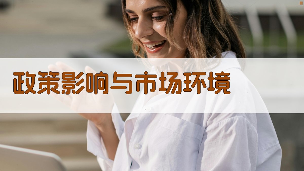 政策影响与市场环境 图1
