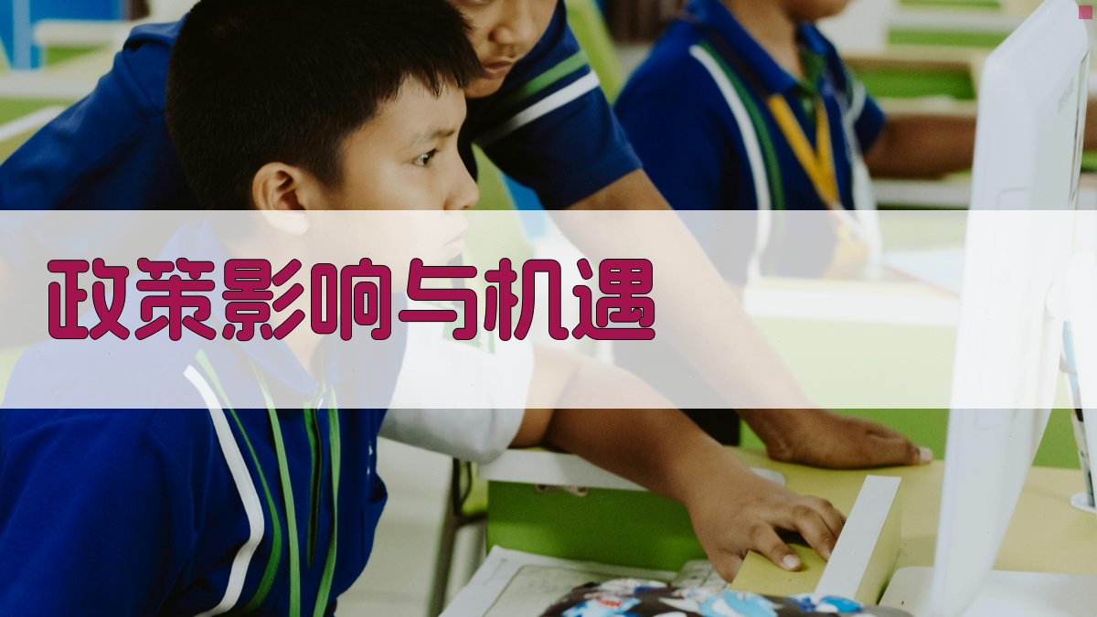 政策影响与机遇 图2