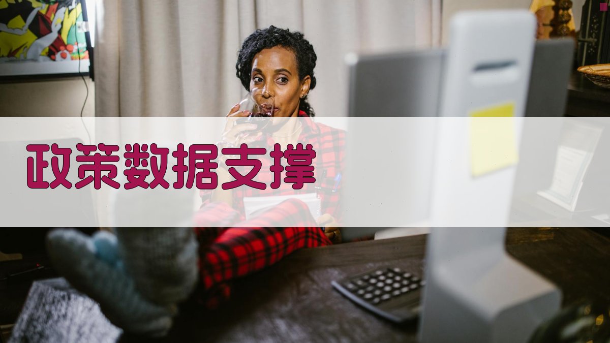政策数据支撑 图2