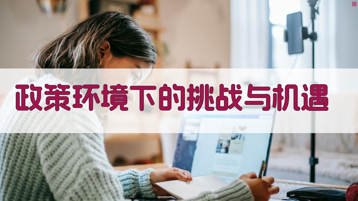 政策环境下的挑战与机遇 图1