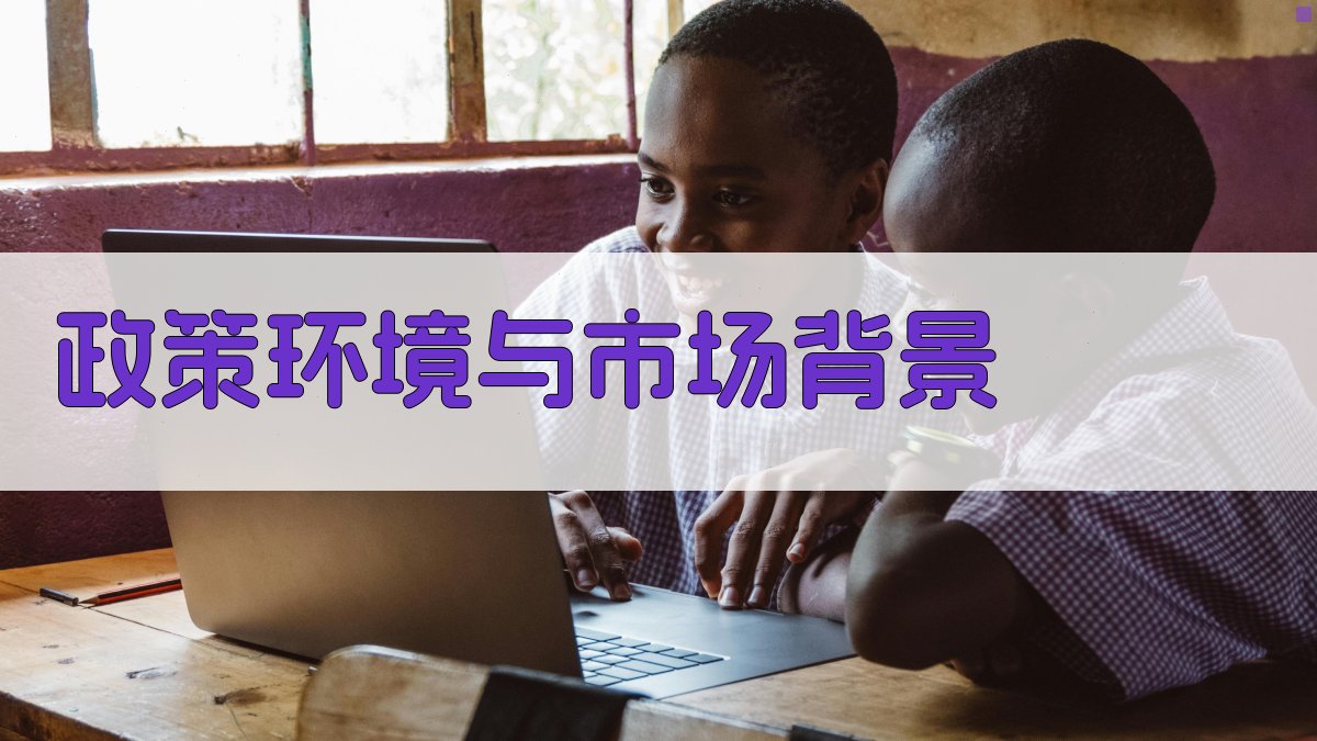 政策环境与市场背景 图1