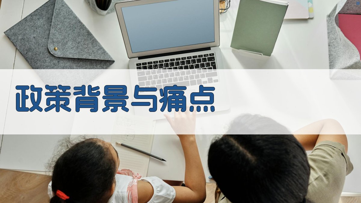 政策背景与痛点 图1