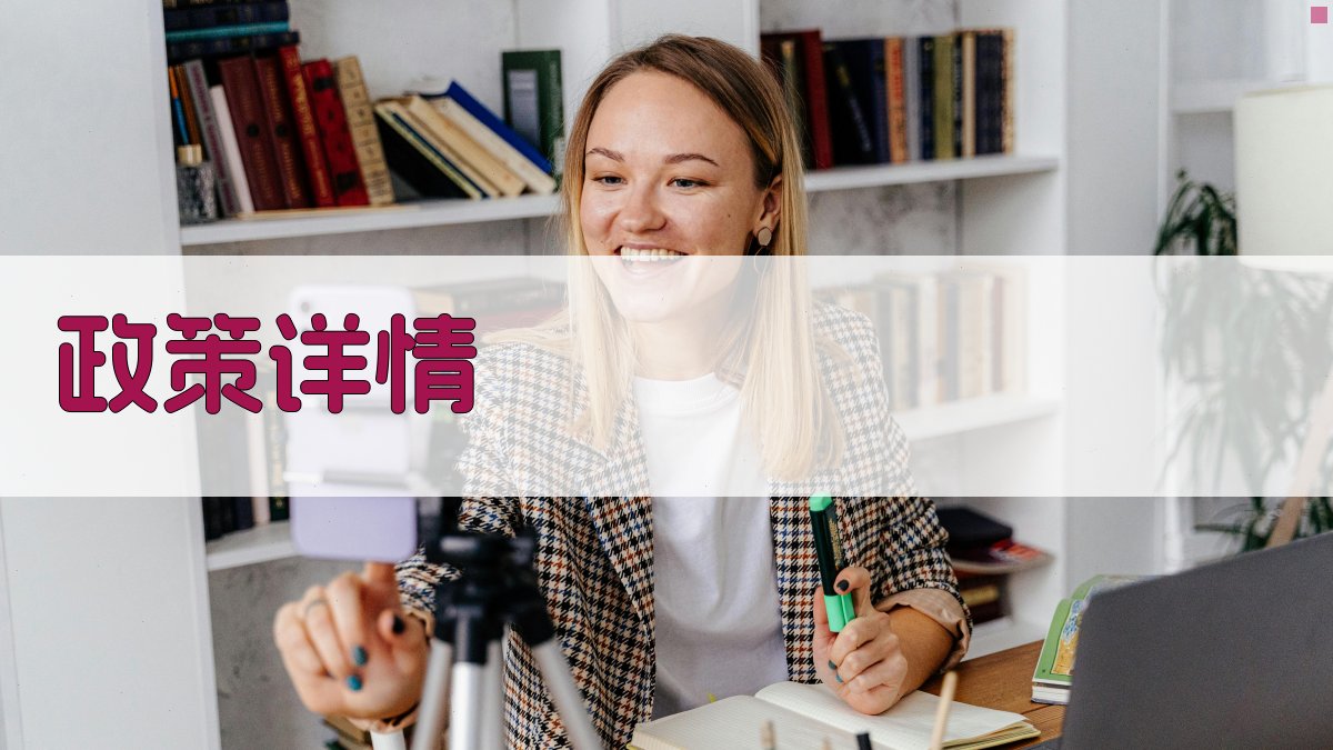 政策详情 图2