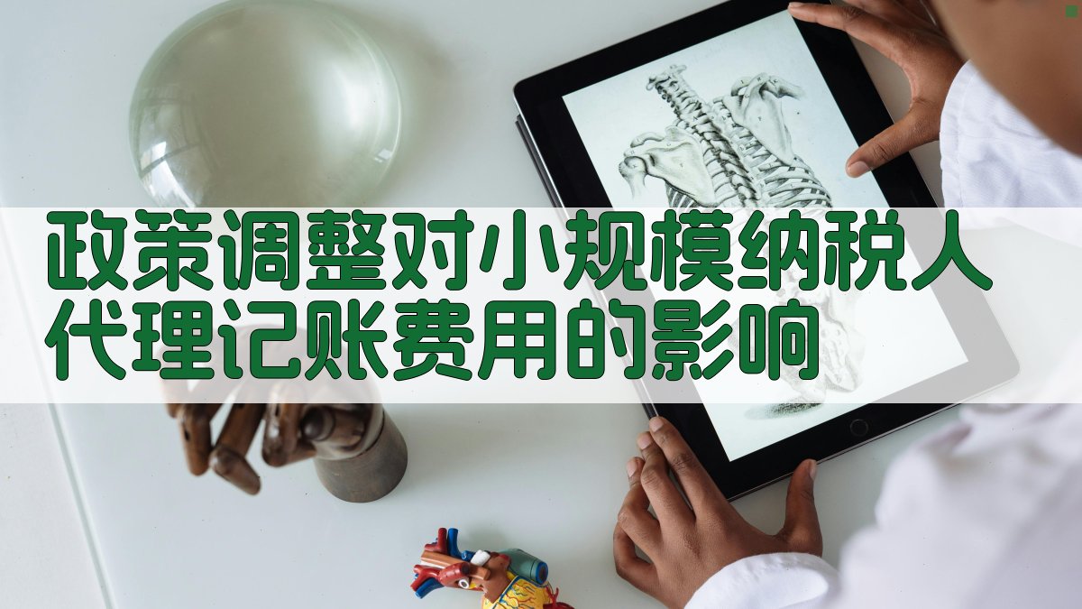 政策调整对小规模纳税人代理记账费用的影响 图1