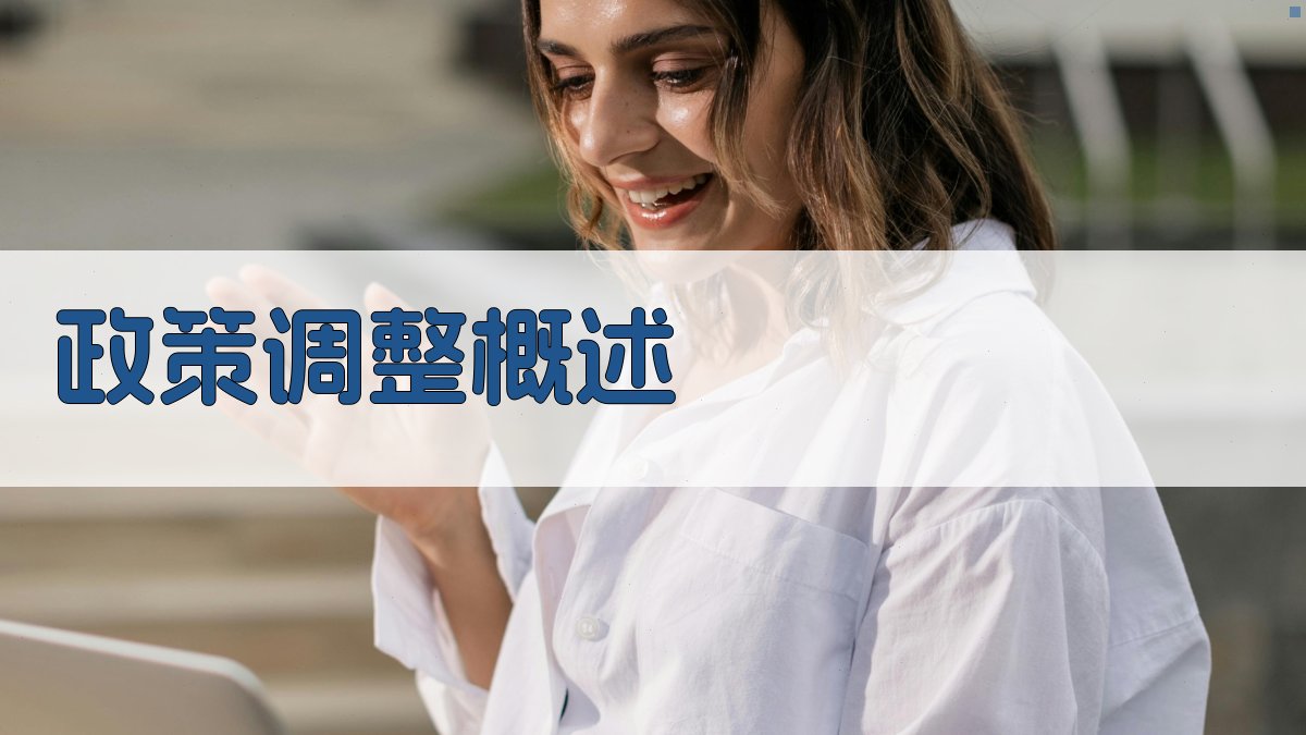 政策调整概述 图2