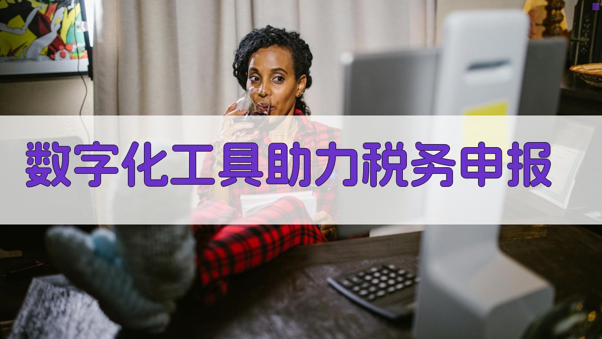 数字化工具助力税务申报 图4