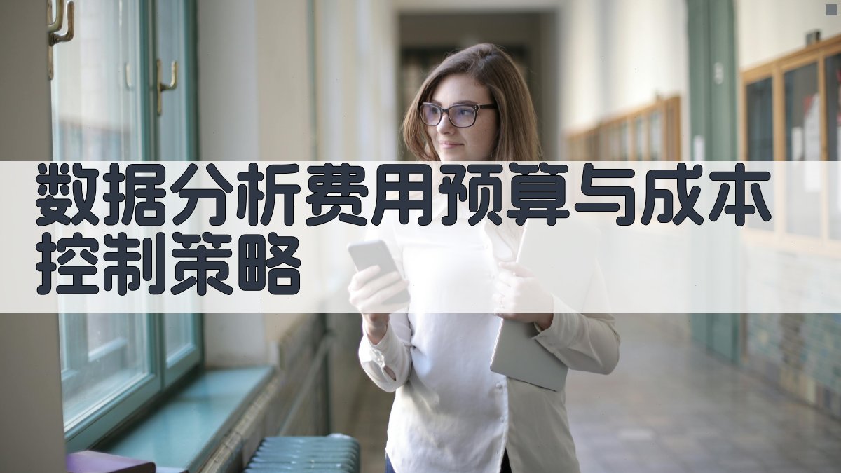 数据分析费用预算与成本控制策略 图1