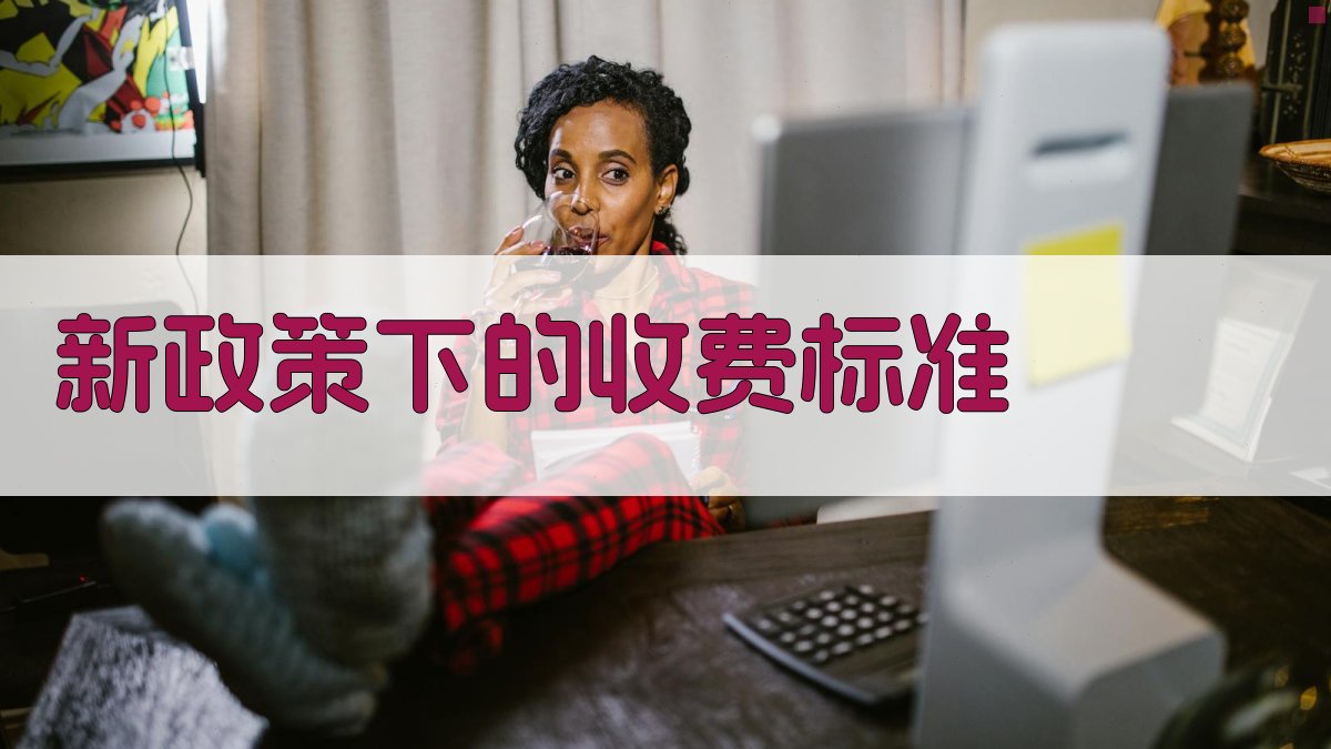 新政策下的收费标准 图2