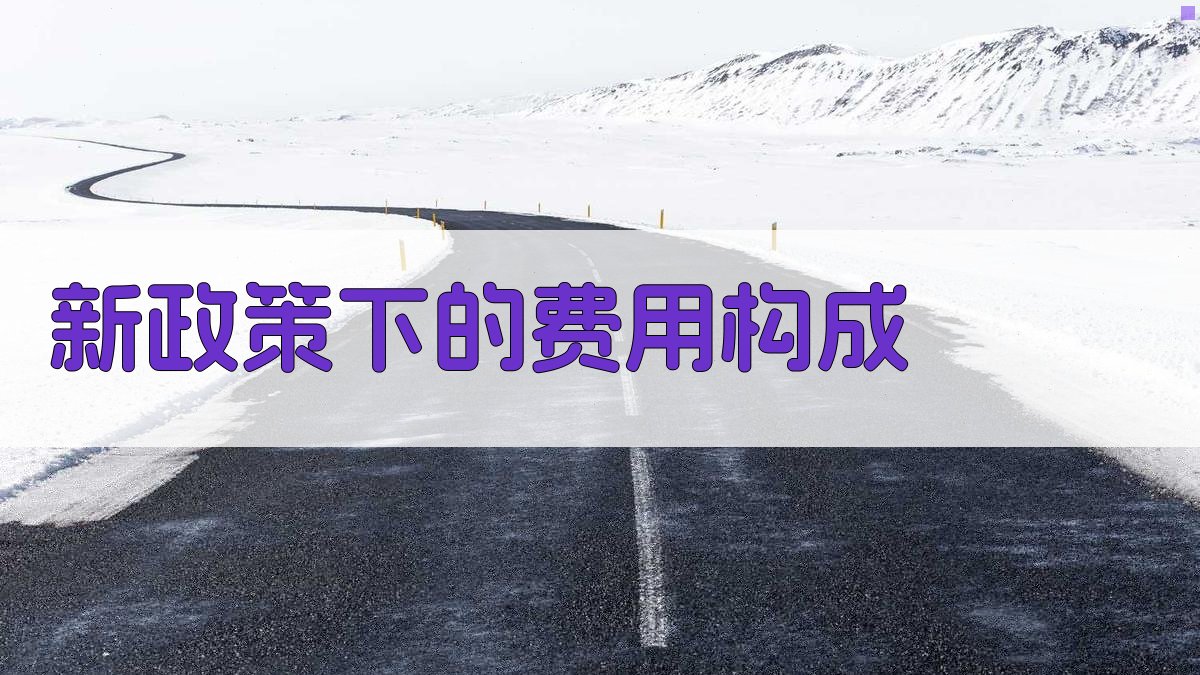 新政策下的费用构成 图1