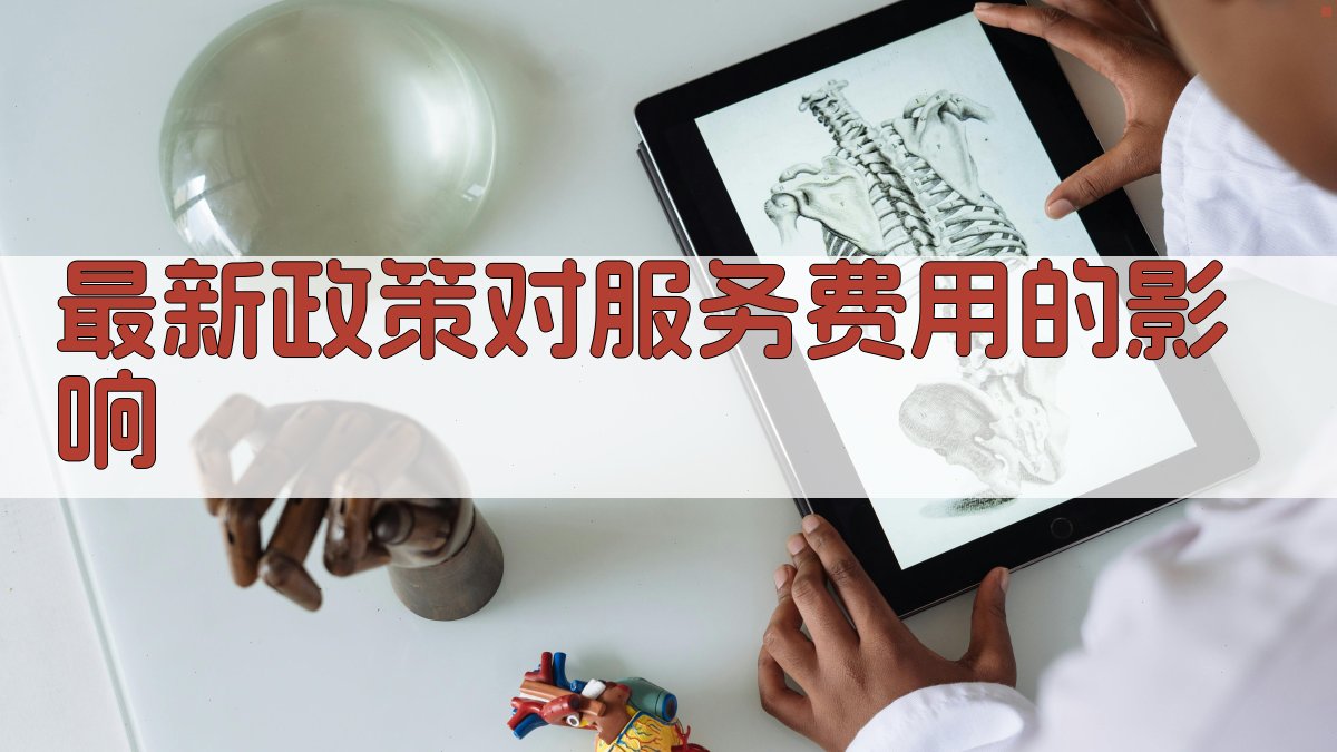 最新政策对服务费用的影响 图2