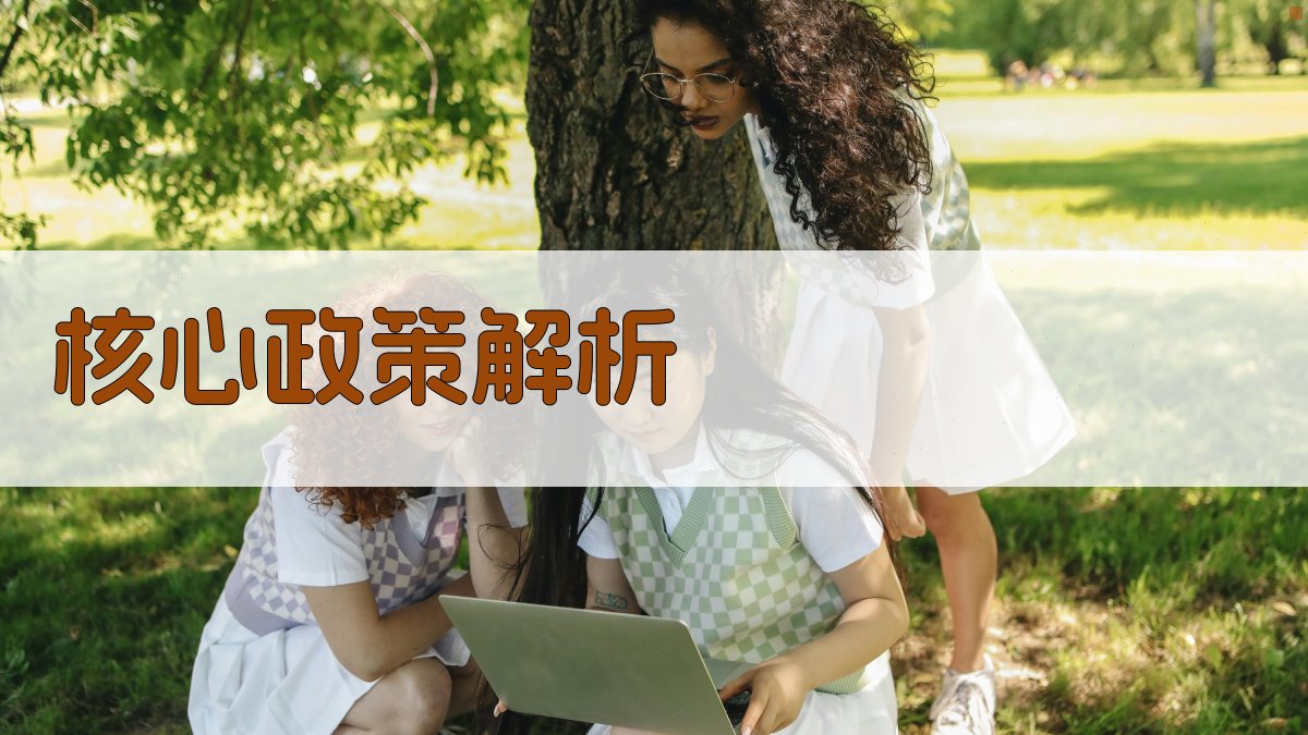 核心政策解析 图2