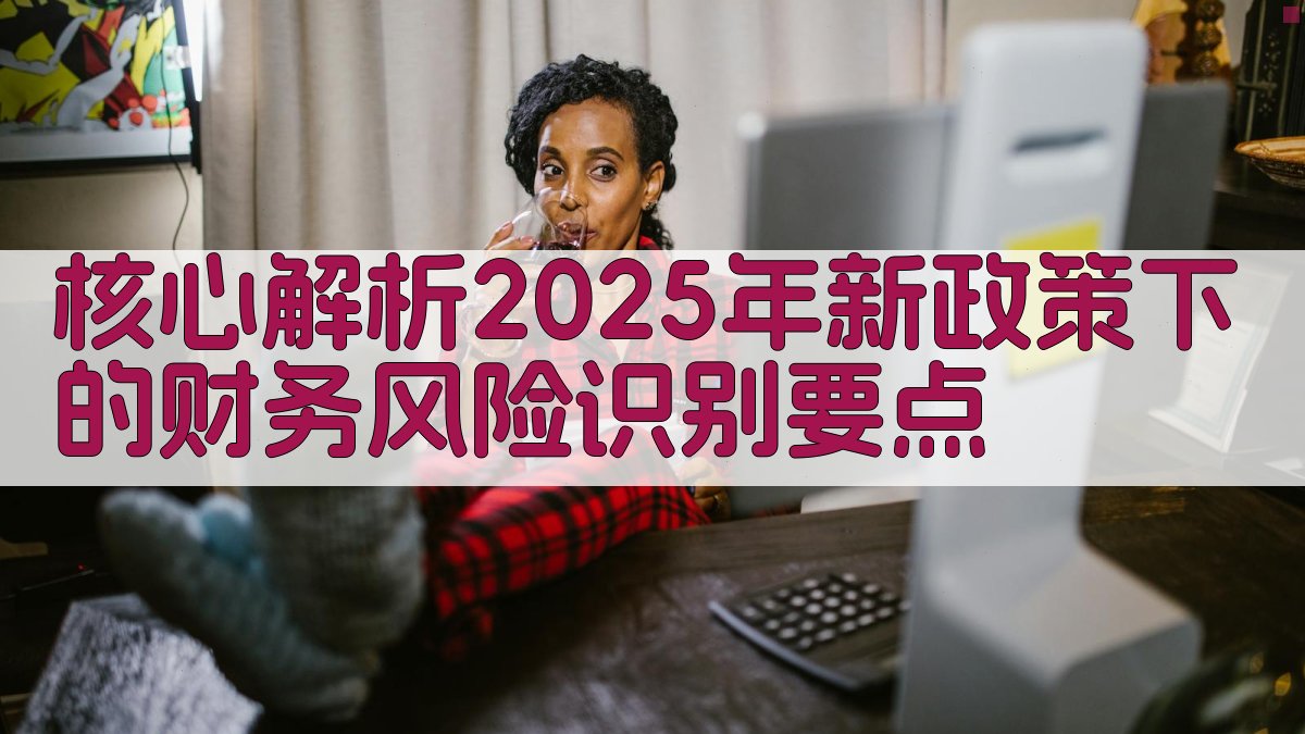 核心解析：2025年新政策下的财务风险识别要点 图1