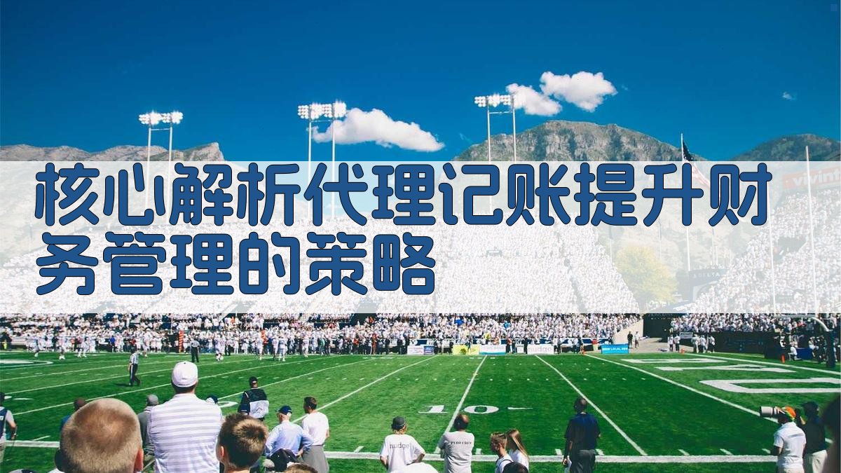 核心解析：代理记账提升财务管理的策略 图2