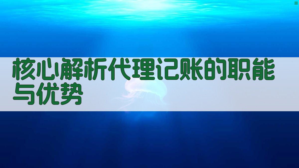 核心解析：代理记账的职能与优势 图2
