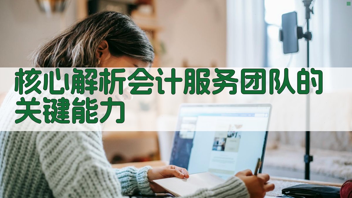 核心解析：会计服务团队的关键能力 图2