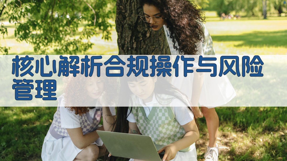 核心解析：合规操作与风险管理 图1