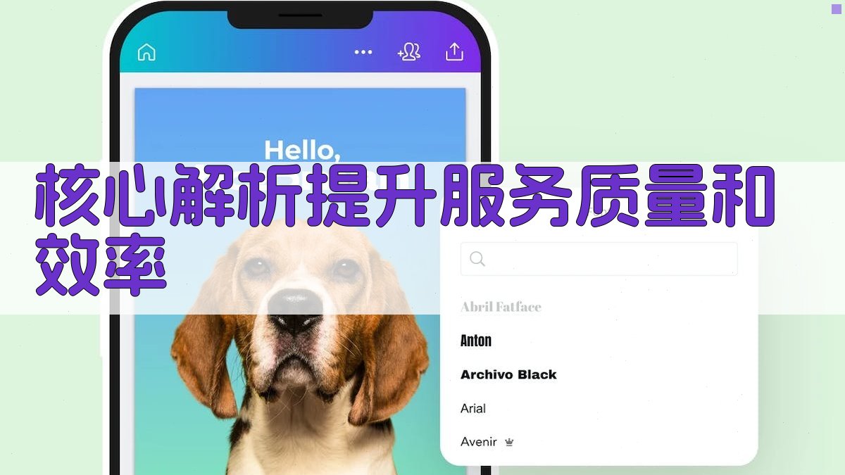 核心解析：提升服务质量和效率 图2