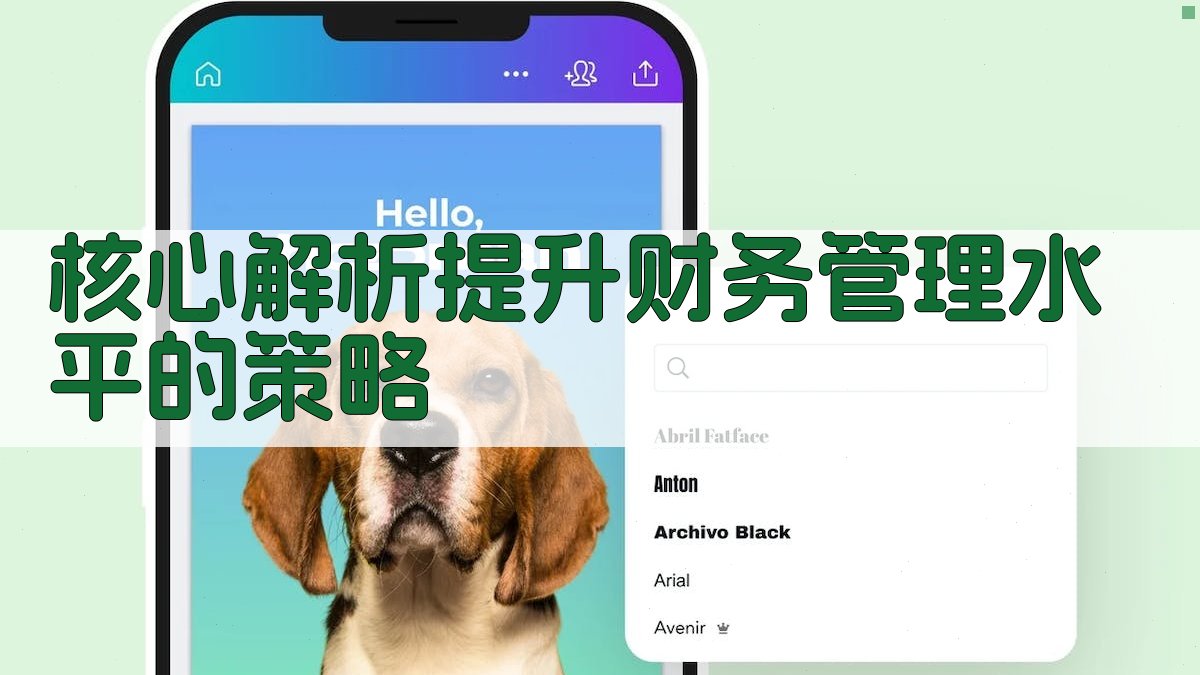 核心解析：提升财务管理水平的策略 图2