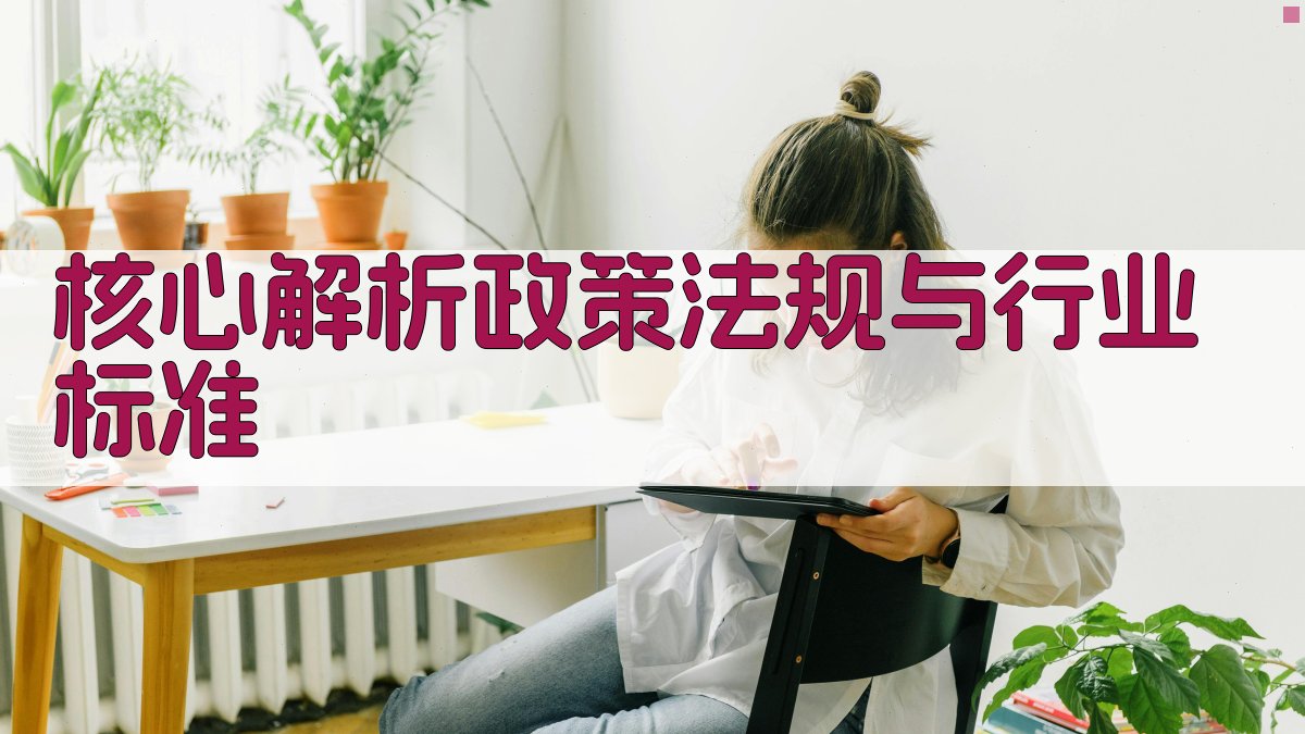 核心解析：政策法规与行业标准 图1