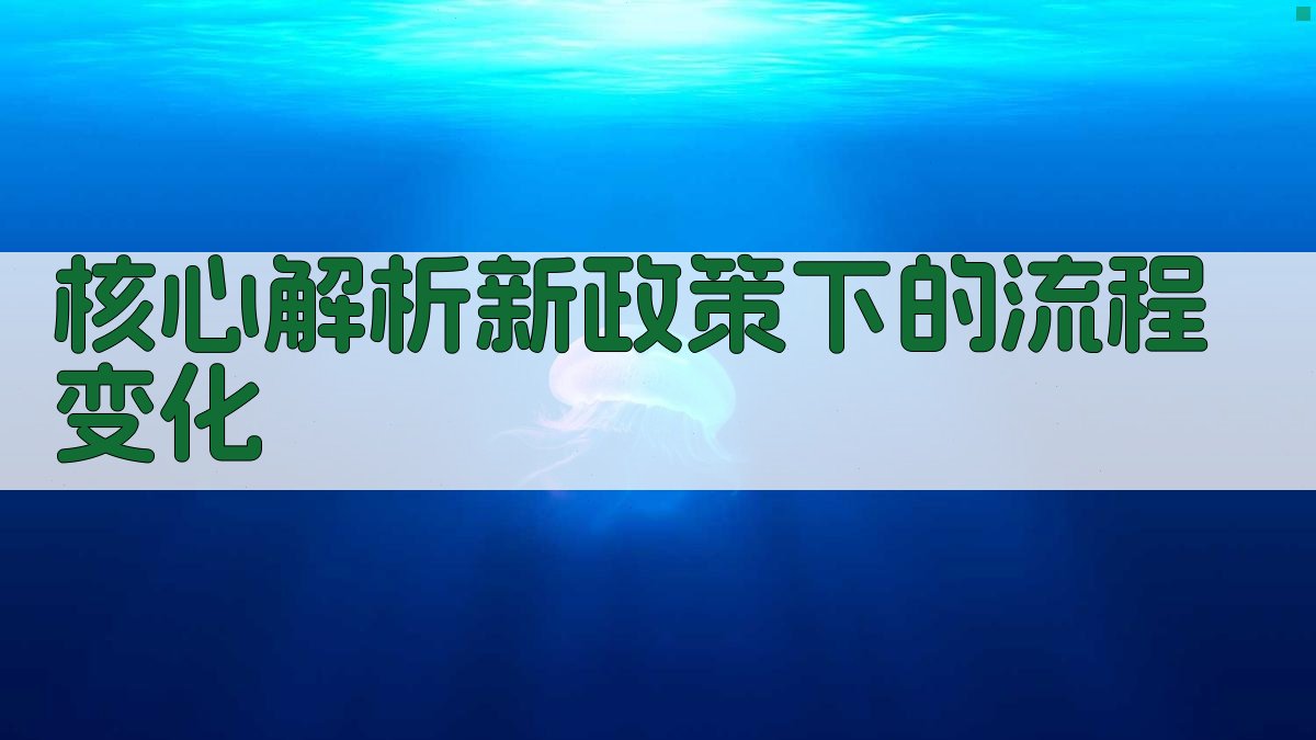 核心解析：新政策下的流程变化 图2