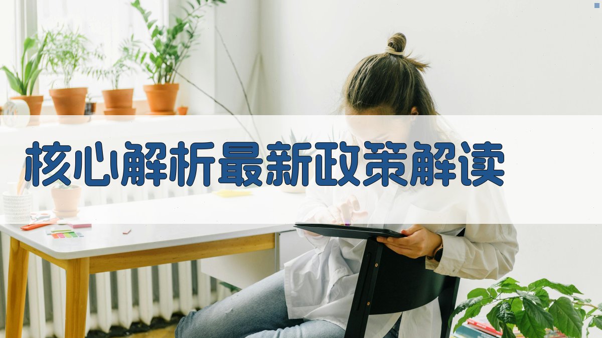 核心解析：最新政策解读 图2