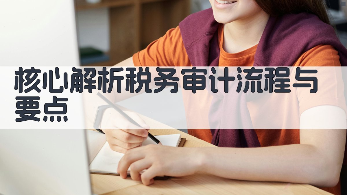 核心解析：税务审计流程与要点 图1