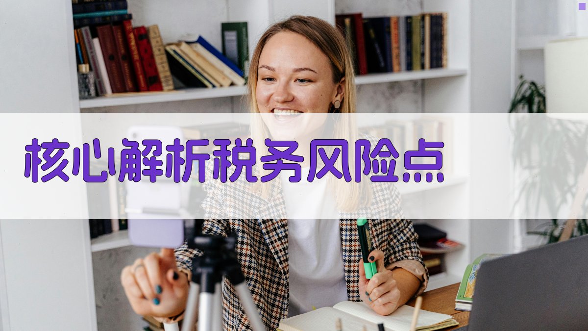 核心解析：税务风险点 图1