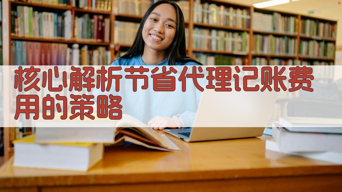 核心解析：节省代理记账费用的策略 图2