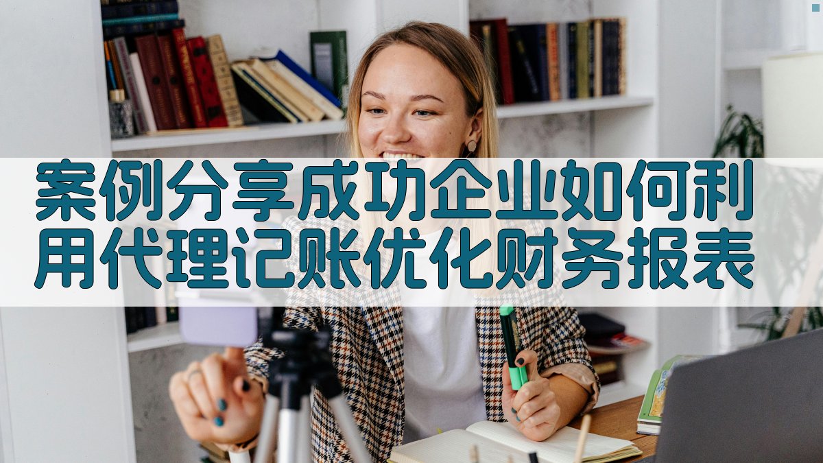 案例分享成功企业如何利用代理记账优化财务报表 图2