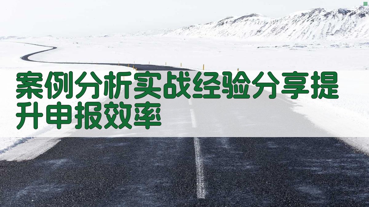 案例分析：实战经验分享，提升申报效率 图4