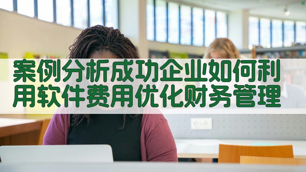 案例分析成功企业如何利用软件费用优化财务管理 图4