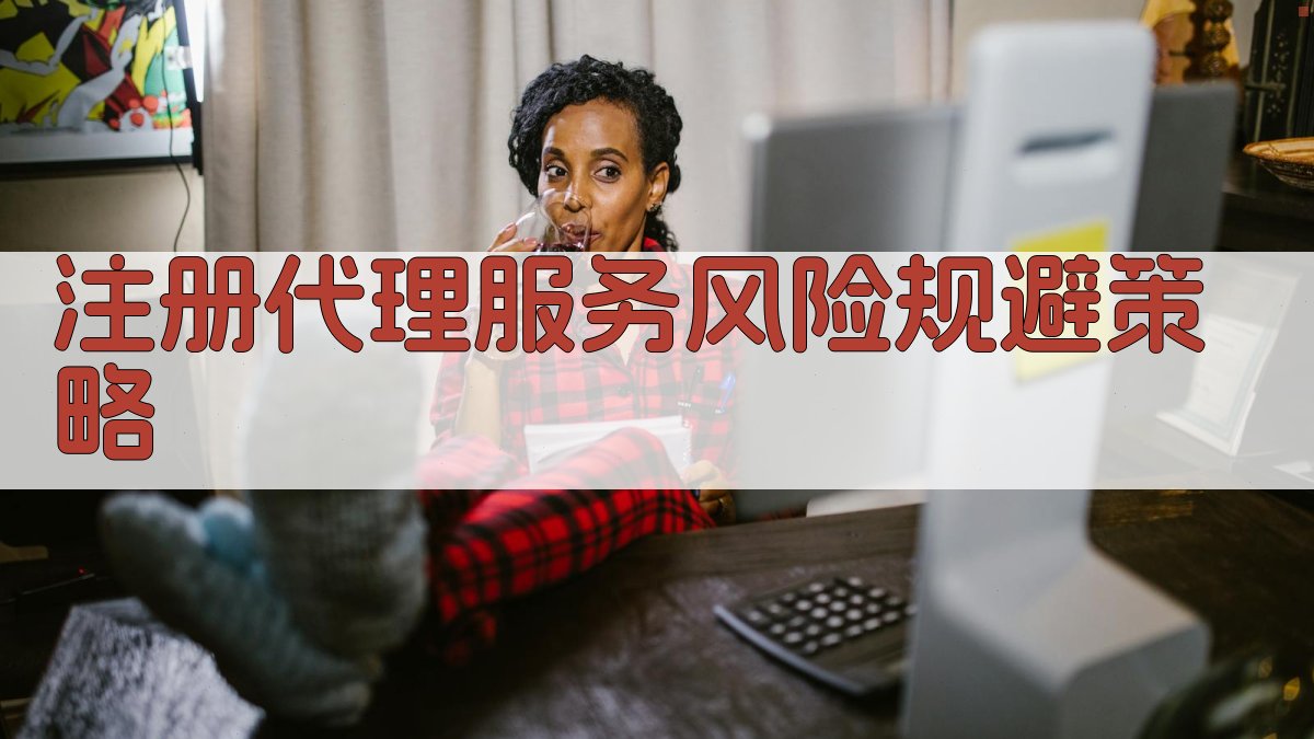 注册代理服务风险规避策略 图2