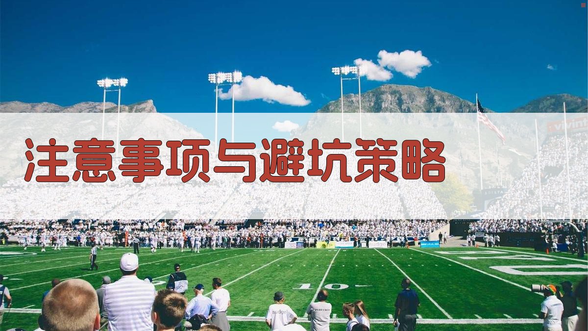 注意事项与避坑策略 图1