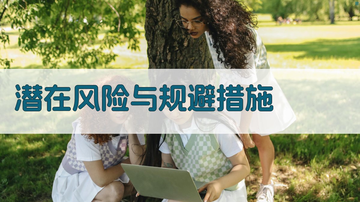 潜在风险与规避措施 图4