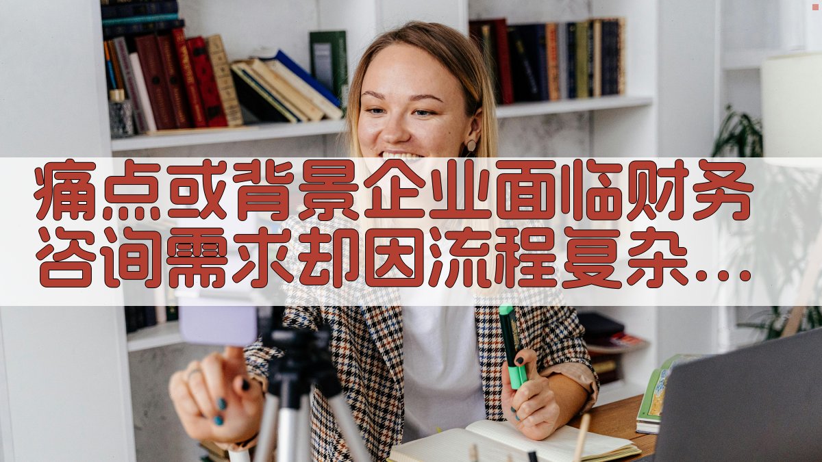 痛点或背景：企业面临财务咨询需求，却因流程复杂、政策多变而难以抉择。 图1