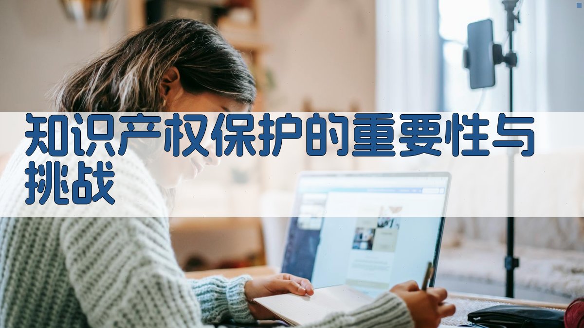 知识产权保护的重要性与挑战 图1
