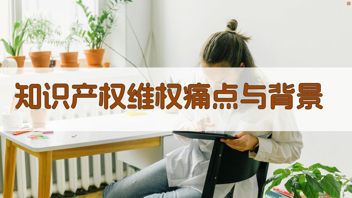 知识产权维权痛点与背景 图1