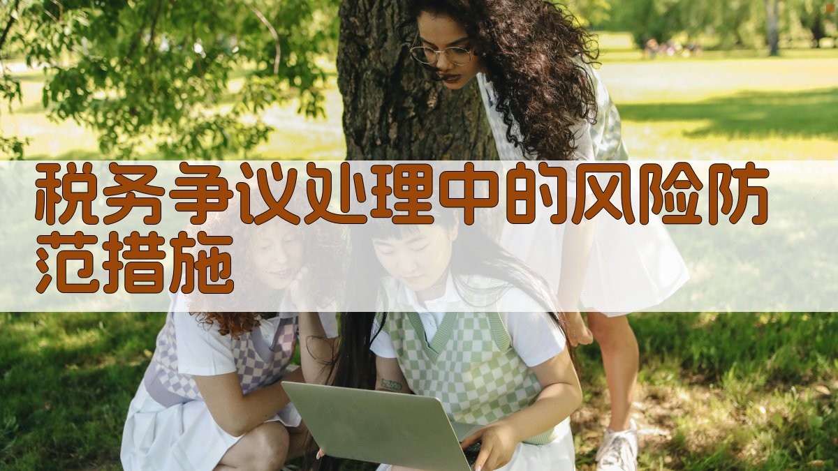 税务争议处理中的风险防范措施 图3