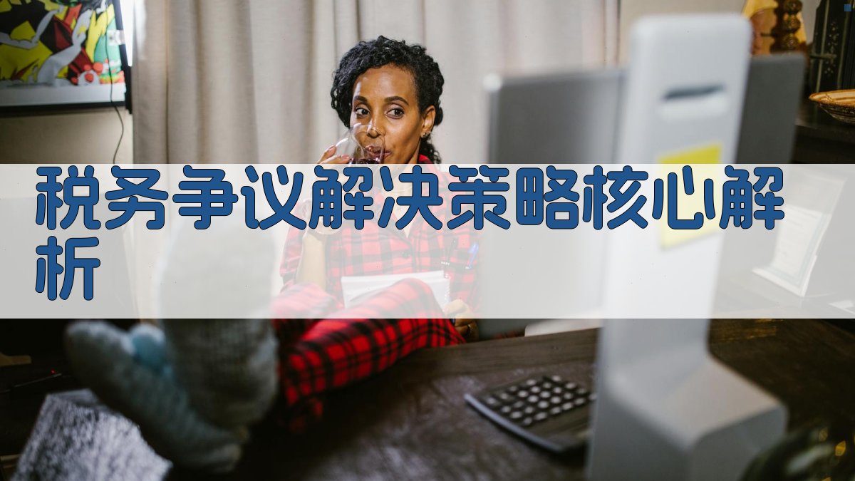 税务争议解决策略核心解析 图2