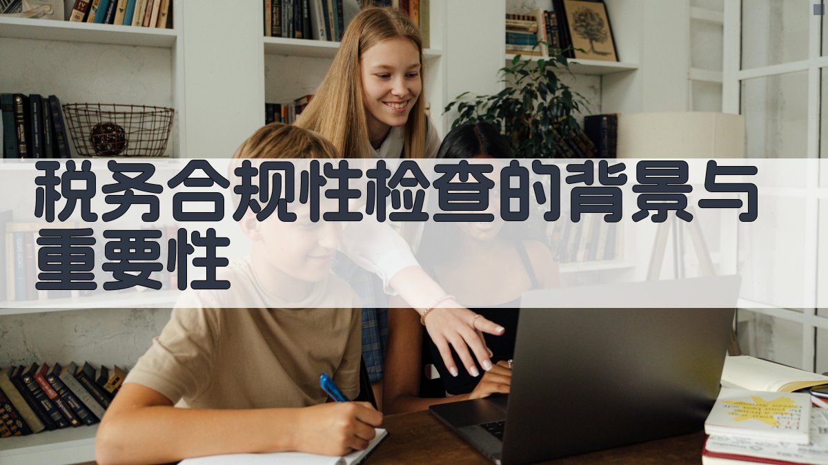税务合规性检查的背景与重要性 图1