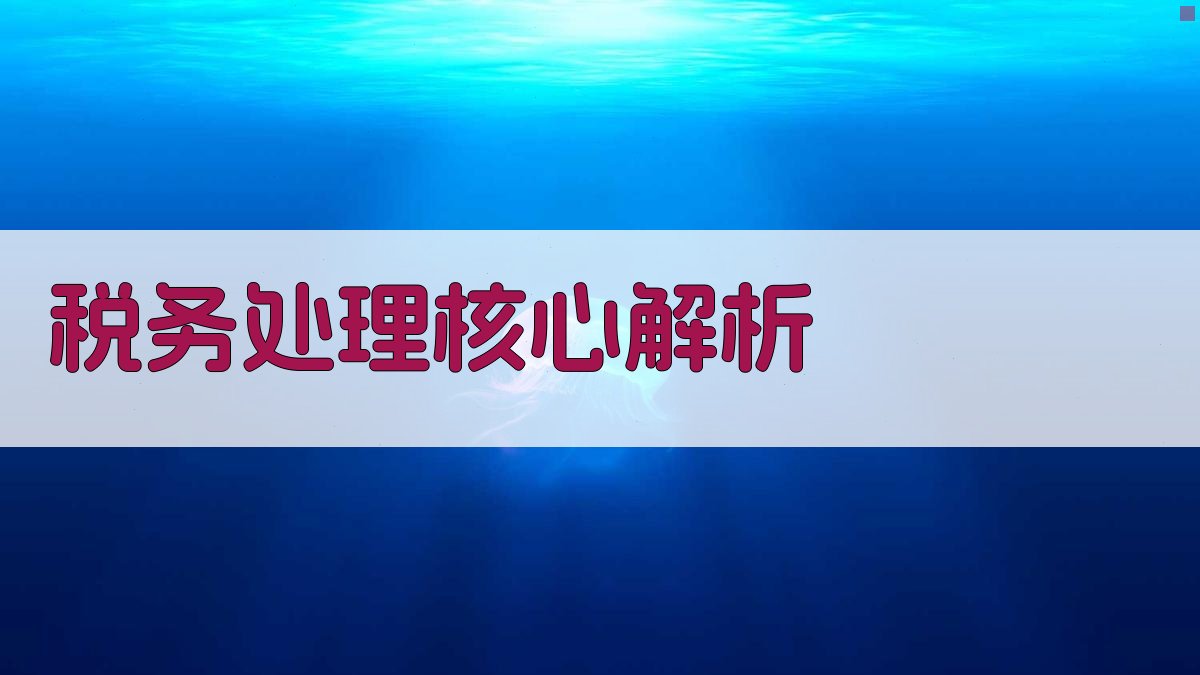税务处理核心解析 图2