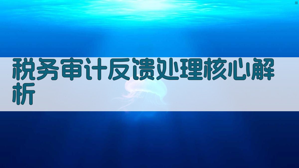 税务审计反馈处理核心解析 图1
