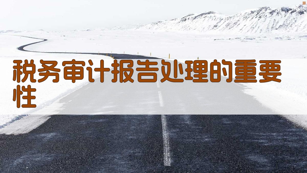 税务审计报告处理的重要性 图1
